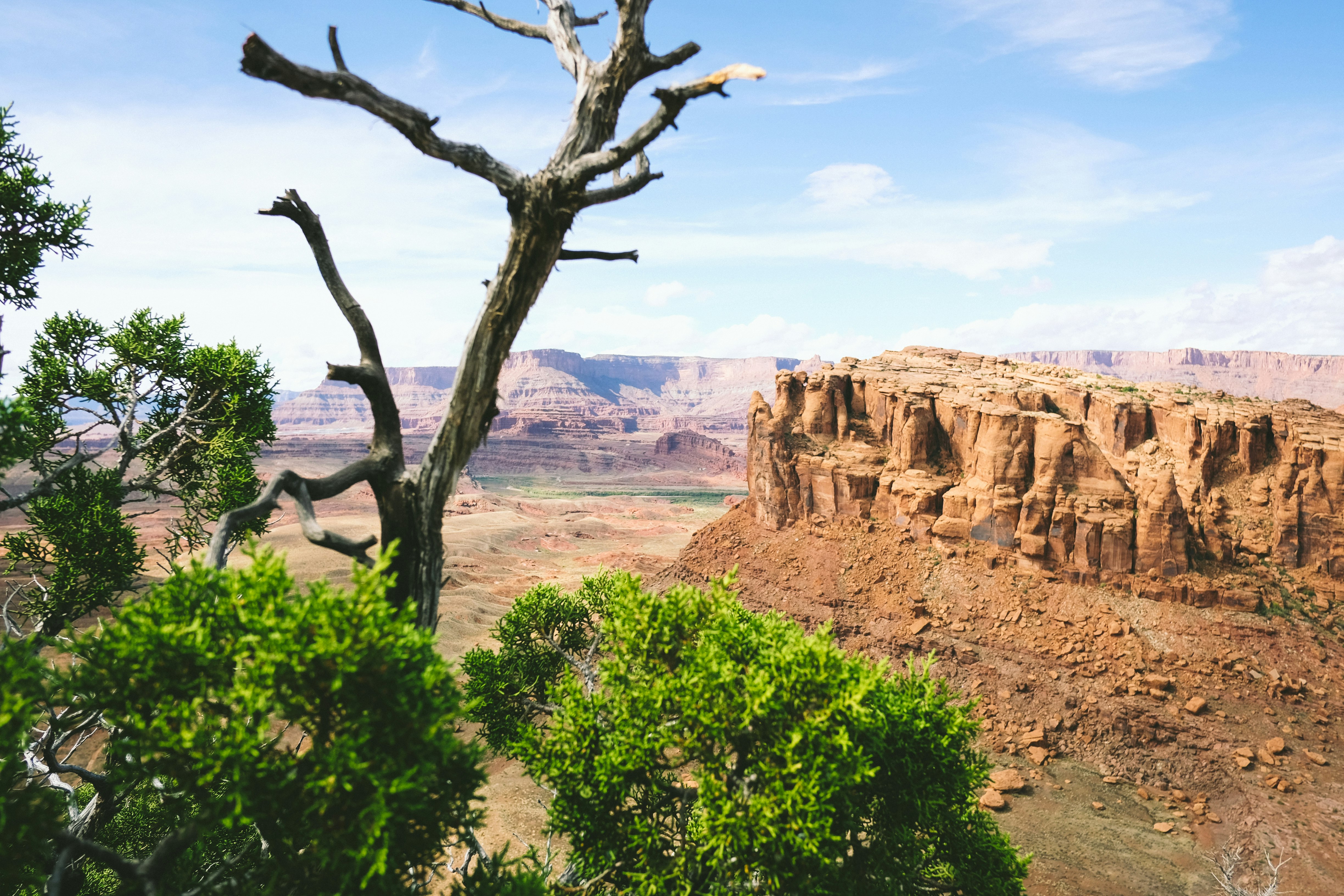 aerial view photography of rock formation at the desert